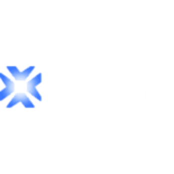 VidSrc Logo